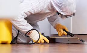 Real Estate Pest Inspections in Muttontown, NY